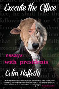 Cover image for Execute the Office: Essays with Presidents