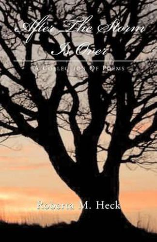 Cover image for After the Storm Is Over