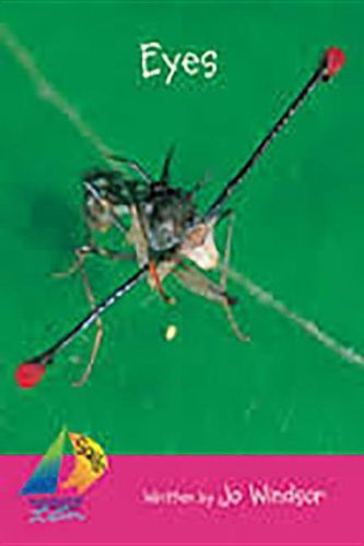 Cover image for Eyes, Satellite: Leveled Reader