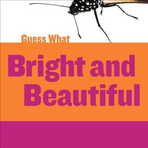 Cover image for Bright and Beautiful: Butterfly