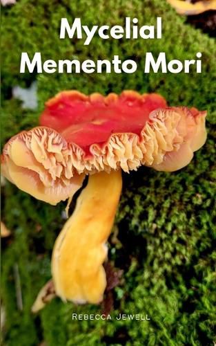 Cover image for Mycelial Memento Mori