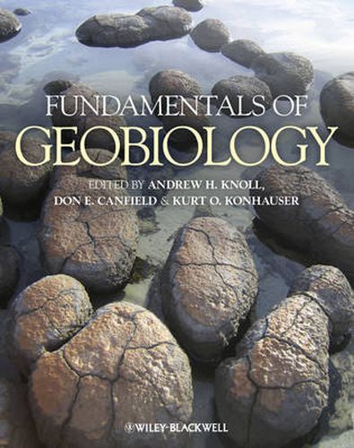 Cover image for Fundamentals of Geobiology