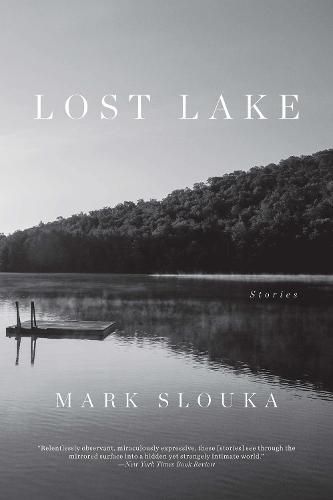 Cover image for Lost Lake: Stories