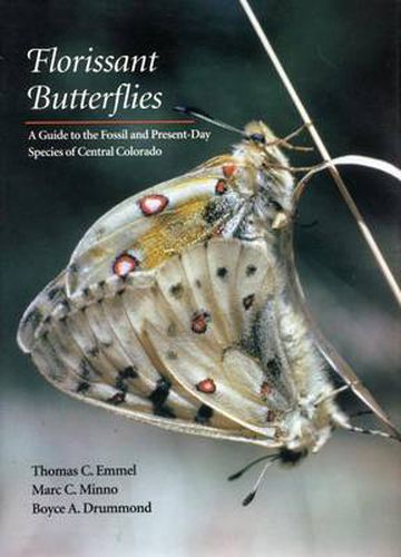 Cover image for Florissant Butterflies: A Guide to the Fossil and Present-Day Species of Central Colorado