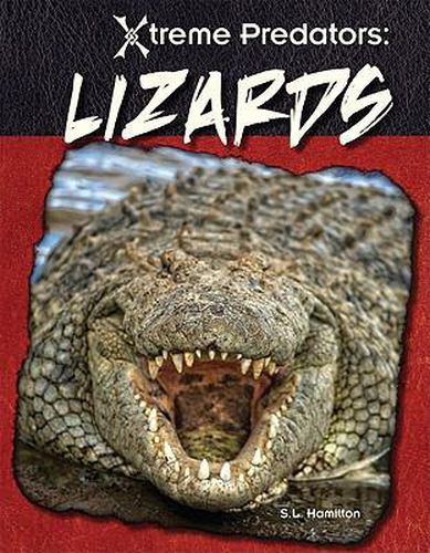 Cover image for Lizards