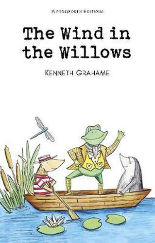 Cover image for The Wind in the Willows