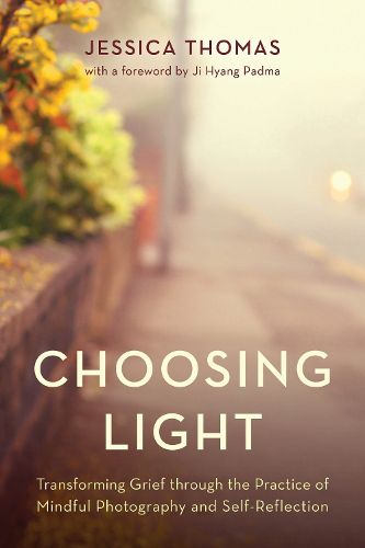 Cover image for Choosing Light