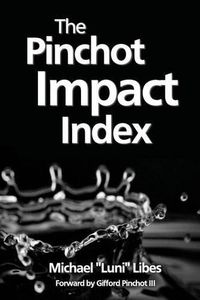 Cover image for The Pinchot Impact Index: Measuring, Comparing, and Aggregating Impact