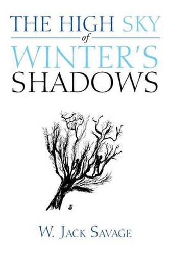 Cover image for The High Sky of Winter's Shadows