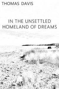 Cover image for In the Unsettled Homeland of Dreams