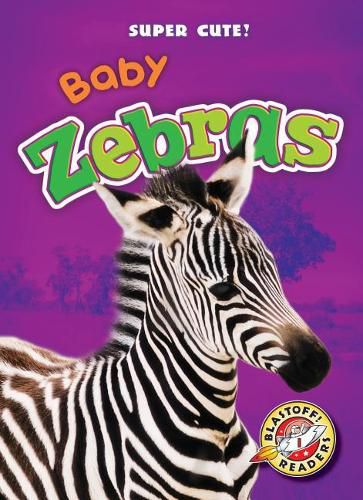 Cover image for Baby Zebras