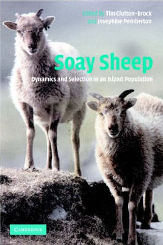 Cover image for Soay Sheep: Dynamics and Selection in an Island Population