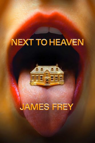 Cover image for Next to Heaven