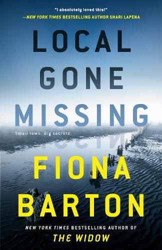 Cover image for Local Gone Missing