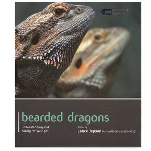 Cover image for Bearded Dragon - Pet Expert