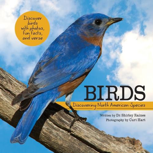 Cover image for Birds: Discovering North American Species