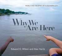 Cover image for Why We Are Here: Mobile and the Spirit of a Southern City