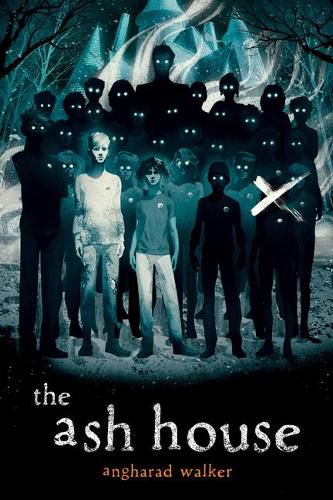 Cover image for The Ash House