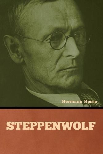 Cover image for Steppenwolf