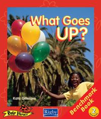Cover image for Rigby Literacy Emergent Level 2: What Goes Up?/The Play (Reading Level 2/F&P Level B)
