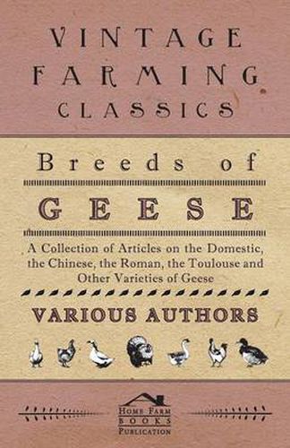 Cover image for Breeds of Geese - A Collection of Articles on The Domestic, The Chinese, The Roman, The Toulouse and Other Varieties of Geese