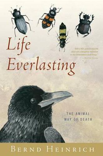 Cover image for Life Everlasting: The Animal Way of Death