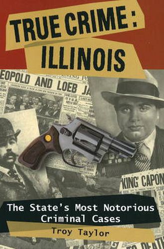 Cover image for True Crime: Illinois: The State's Most Notorious Criminal Cases