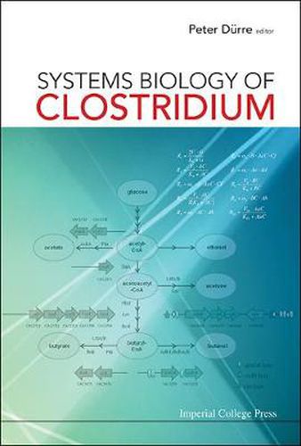 Cover image for Systems Biology Of Clostridium