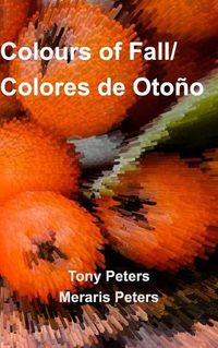 Cover image for Colours of Fall