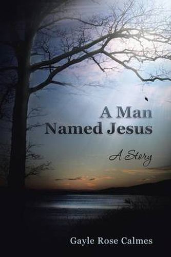 Cover image for A Man Named Jesus: A Story