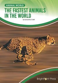 Cover image for The Fastest Animals in the World
