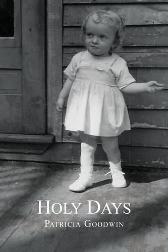 Cover image for Holy Days