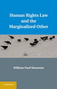 Cover image for Human Rights Law and the Marginalized Other