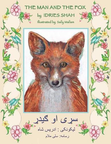 The (English and Pashto Edition) Man and the Fox