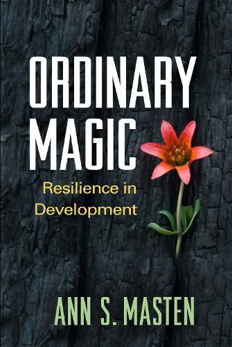 Cover image for Ordinary Magic: Resilience in Development