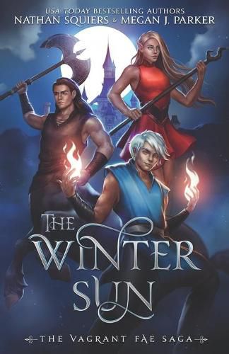Cover image for The Winter Sun