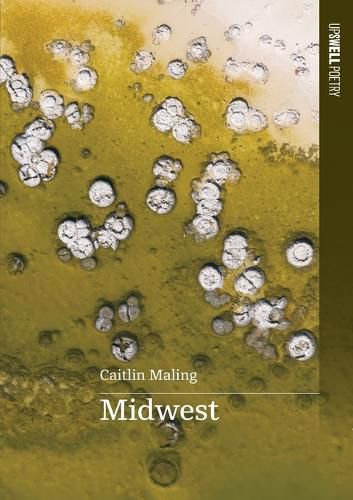 Cover image for Midwest