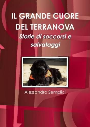 Cover image for Il Grande Cuore Del Terranova