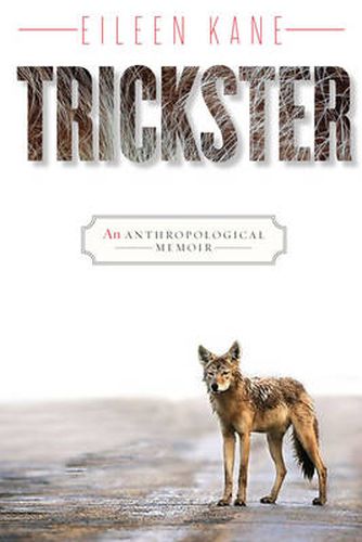 Cover image for Trickster: An Anthropological Memoir