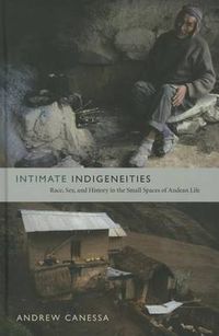 Cover image for Intimate Indigeneities: Race, Sex, and History in the Small Spaces of Andean Life