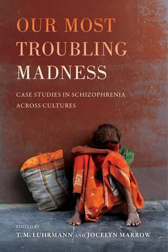 Cover image for Our Most Troubling Madness: Case Studies in Schizophrenia across Cultures