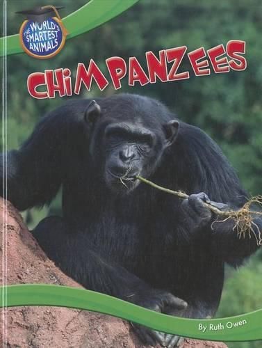 Cover image for Chimpanzees