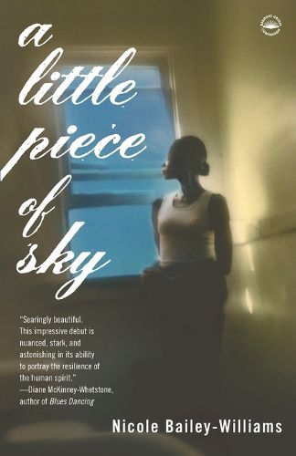 Cover image for A Little Piece of Sky: A Novel