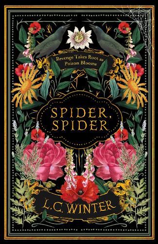 Cover image for Spider, Spider