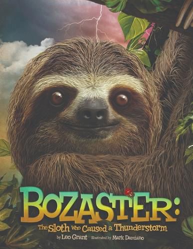 Cover image for Bozaster