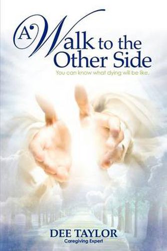 Cover image for A Walk to the Other Side