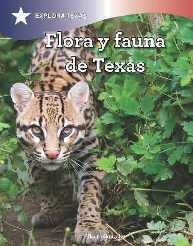 Cover image for Flora Y Fauna de Texas (the Animals and Vegetation of Texas)