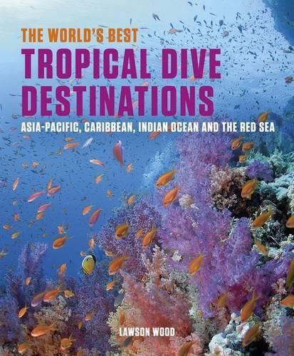 Cover image for World's Best Tropical Dive Destinations