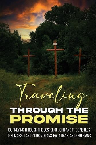 Cover image for Traveling Through the Promise