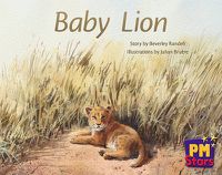 Cover image for Baby Lion